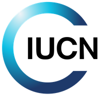 Logo LfN