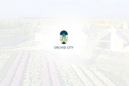 Orchid City splash