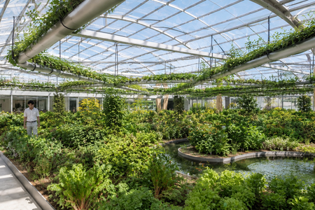 Polydome_Indoor