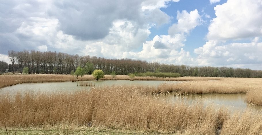 Uitzicht_op_meer_-_1280pix_fullwidth_slider.jpg