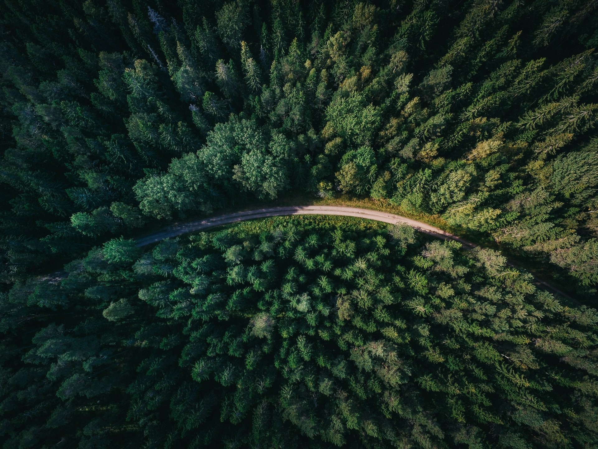 geran-de-klerk-qzgN45hseN0-unsplash.jpg